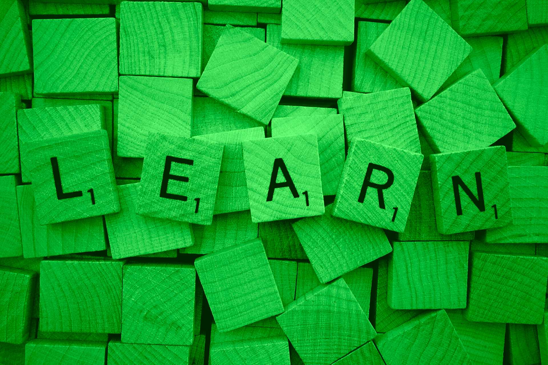 Ridaly ¿Donde encontrar una agencia de creación de sitios web ¿Donde encontrar una agencia de creación de sitios web