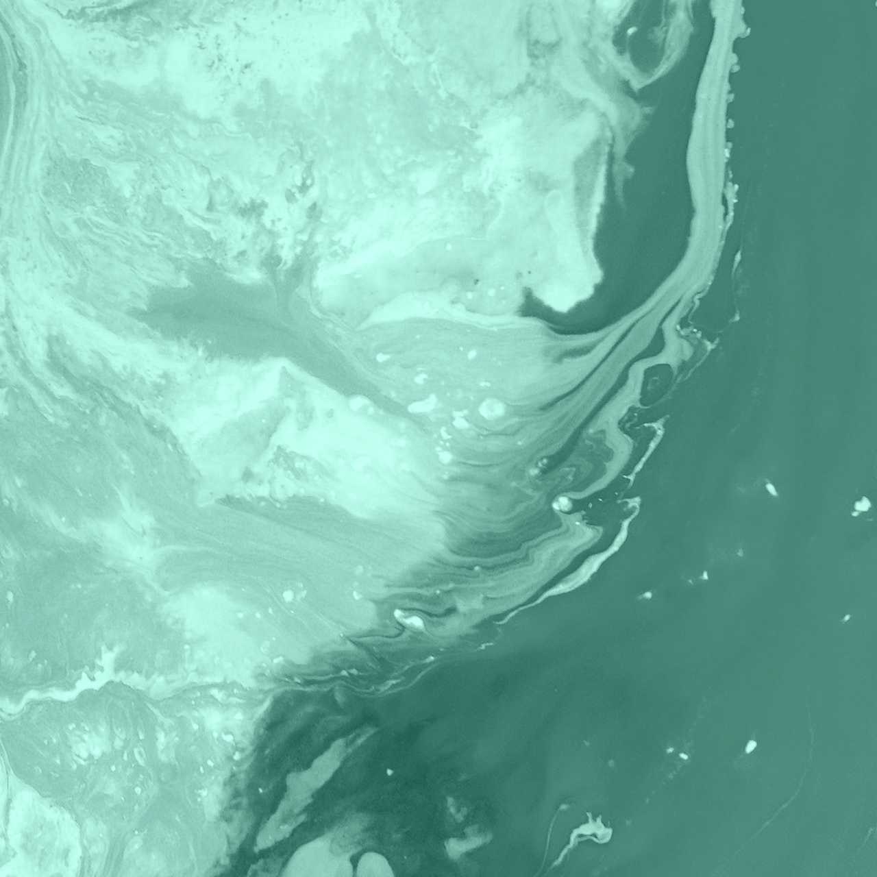 Ridaly Cómo diseñar una página web con Squarespace Cómo diseñar una página web con Squarespace