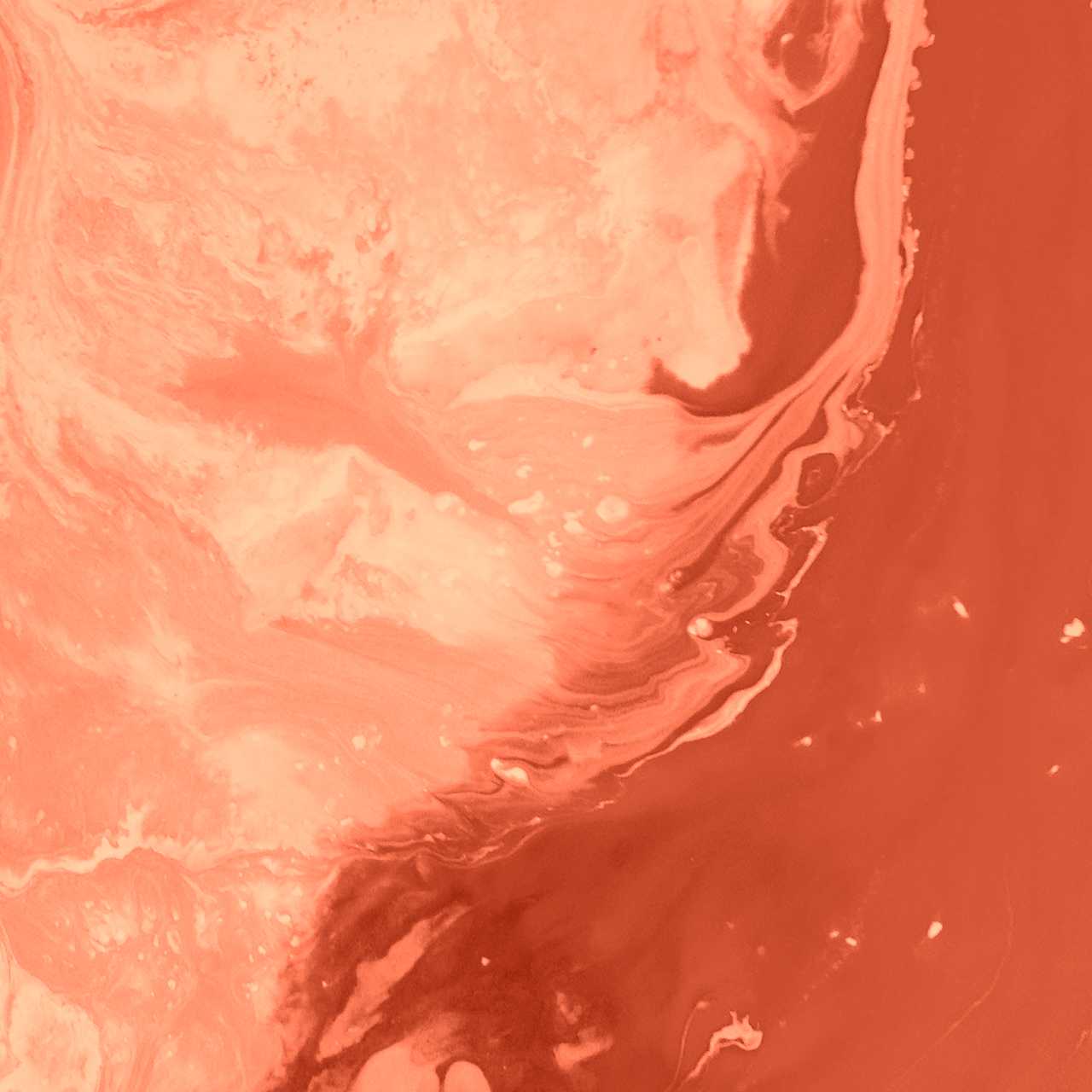 Ridaly Coste de Diseño Web Coste de Diseño Web