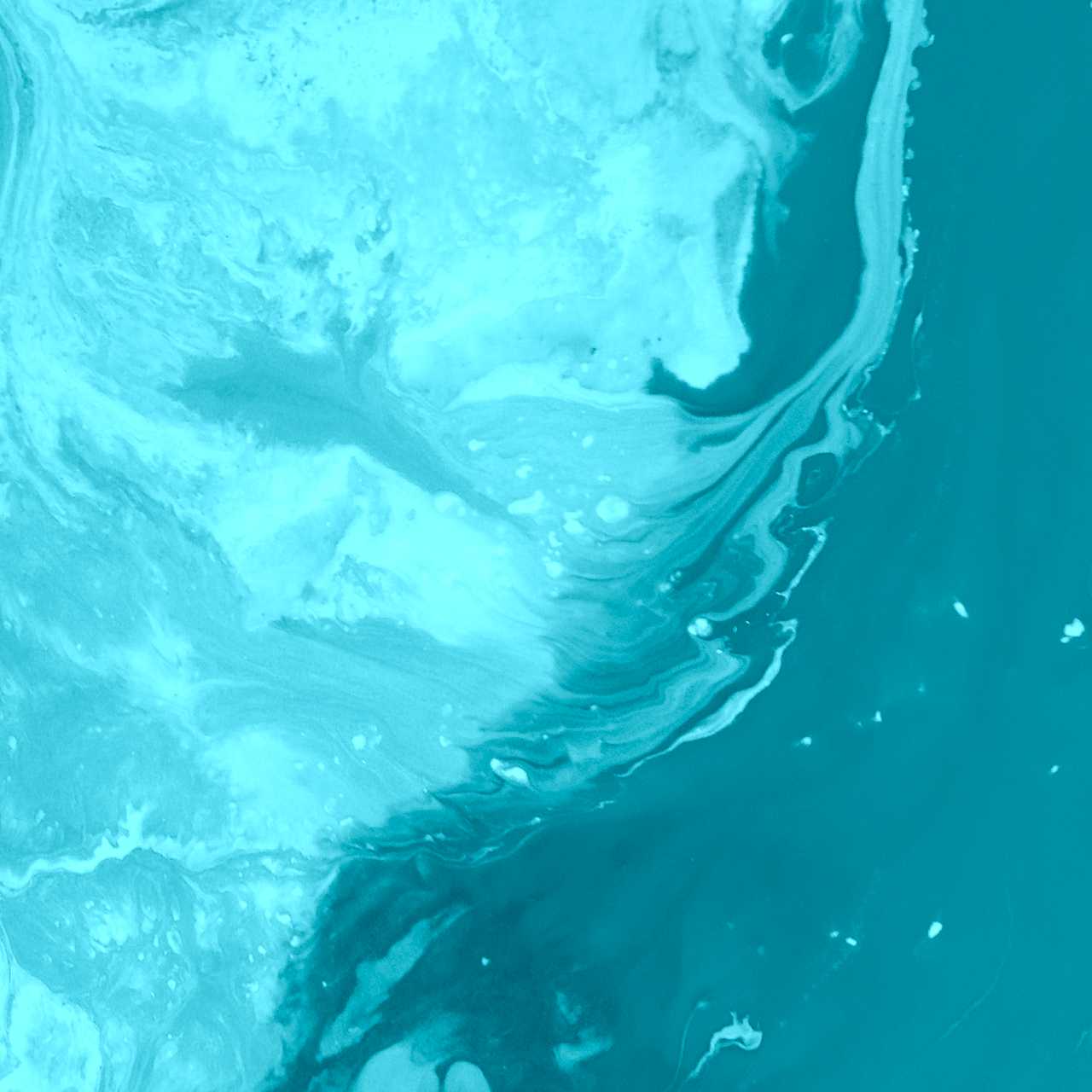 Ridaly Las menos conocidas plataformas para conseguir temas web Las menos conocidas plataformas para conseguir temas web