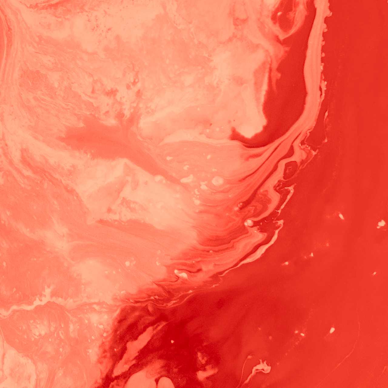 ¿Los temas web son útiles para todos los tipos de de páginas web?